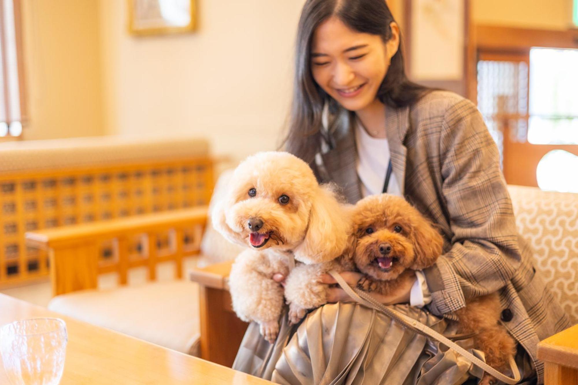 고마쓰야 하치노보 호텔 이즈노쿠니 외부 사진